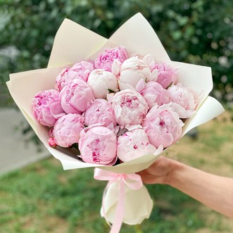 Светло-розовые пионы Premium 15 шт.