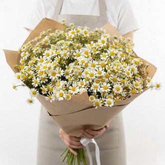 Букет из 31 ромашки