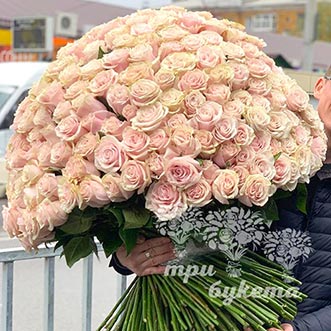 Букет из 301 кремовой розы