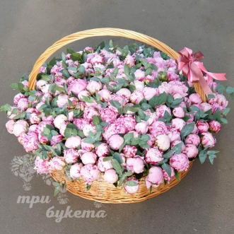 201 пион в корзине 201 пион в корзине