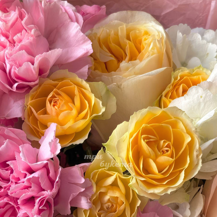 Букет ярких роз и диантусов с гортензией (крупный план на цветы)